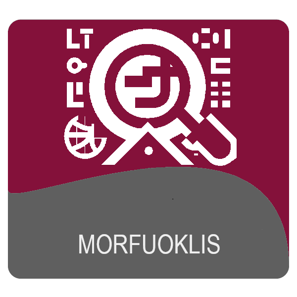 9-Morfuoklis-LT -2